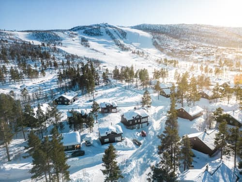 Geilolia Hyttetun, Primary image