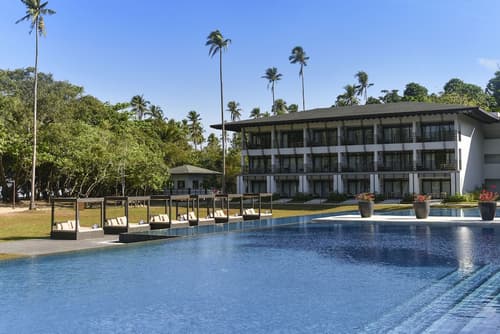 Seda Lio, Primary image