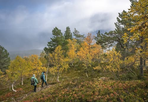 Vesterland Feriepark Cabins & Apartments, Property grounds