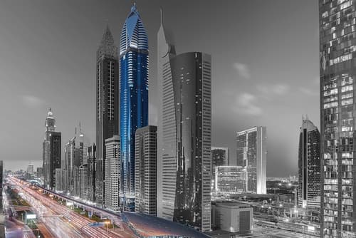 Rose Rayhaan by Rotana, Primary image
