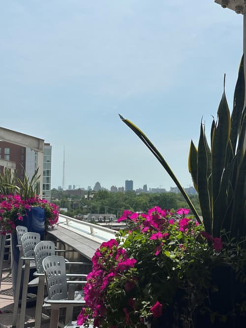 Moonrise Hotel, Bar (on property)