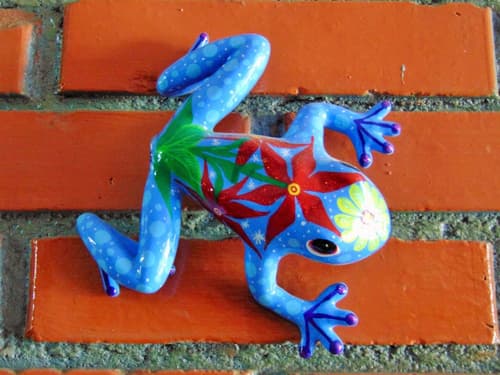 Casa Lima Bed & Breakfast, Lobby