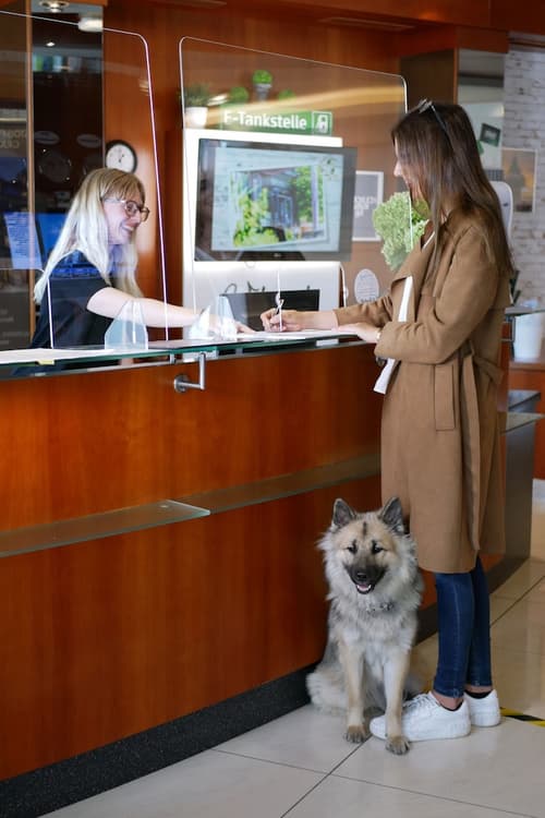 Hotel Stoiser's Graz, Reception