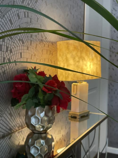 Maxim Axial, Reception