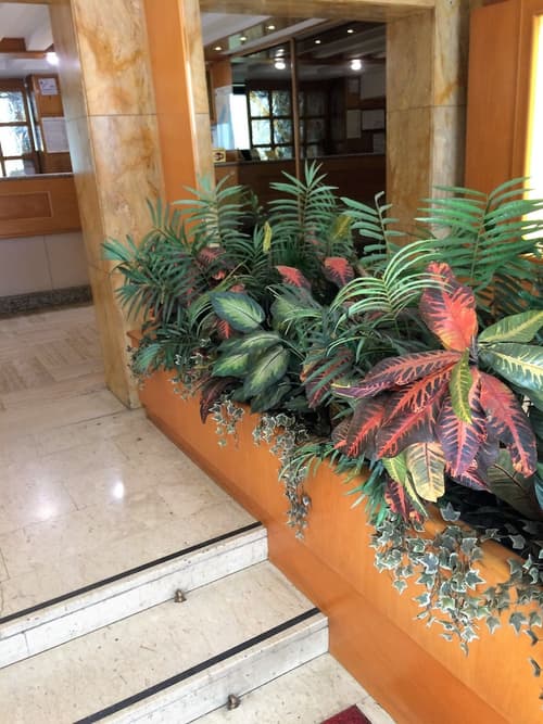 Hotel Città Studi, Interior entrance