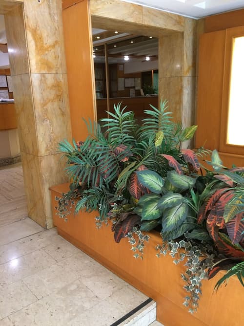 Hotel Città Studi, Interior entrance