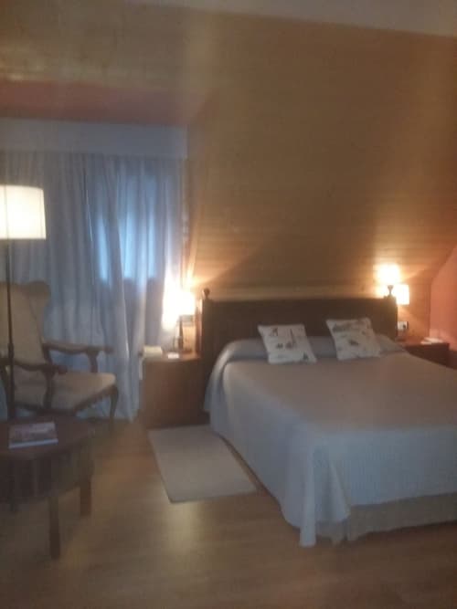 Parador de Arties, Room