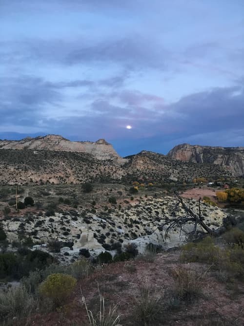 Escalante Yurts, View from room