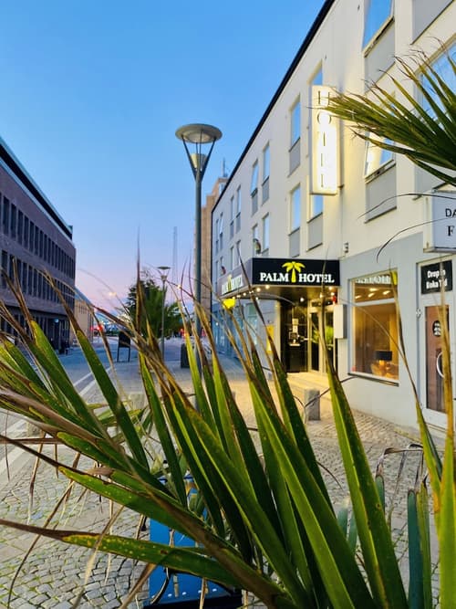 Palm Tree Hotel, Best Western Signature Collection, Primary image