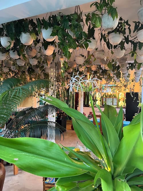 Gadea Boutique Hotel & Gadea Garden Restaurant, Primary image