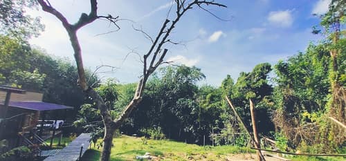 Kohmook Nurse House, Property grounds