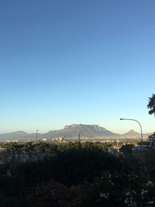 Paperbark Manor, View from room