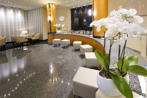 Park Hotel Imperial Centro Tao Natural Medical Spa, Lobby lounge