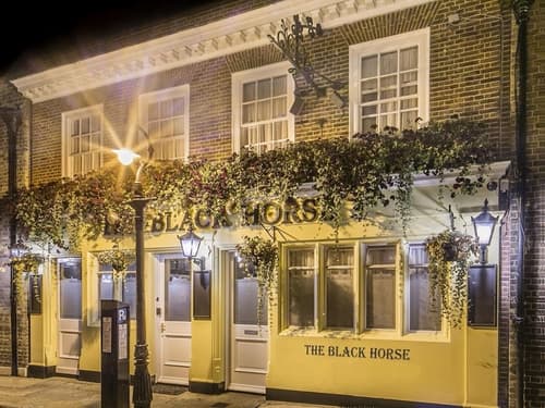 The Black Horse, Primary image