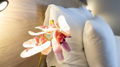 Ha Hotel Mostar, Room