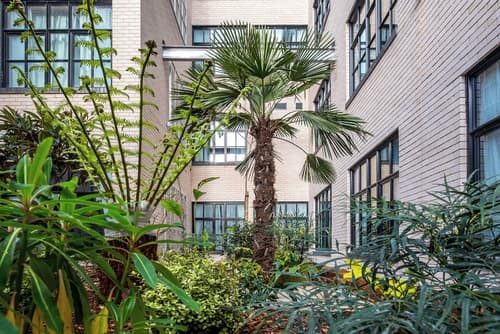 room2 London Chiswick Hometel, Courtyard