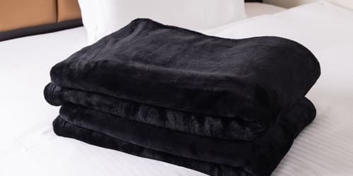 APA Hotel Nagatacho Hanzomon Ekimae, Reception