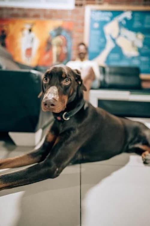 Neos Hotel Cartagena, Reception