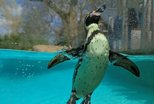 Kabannas London St Pancras, 