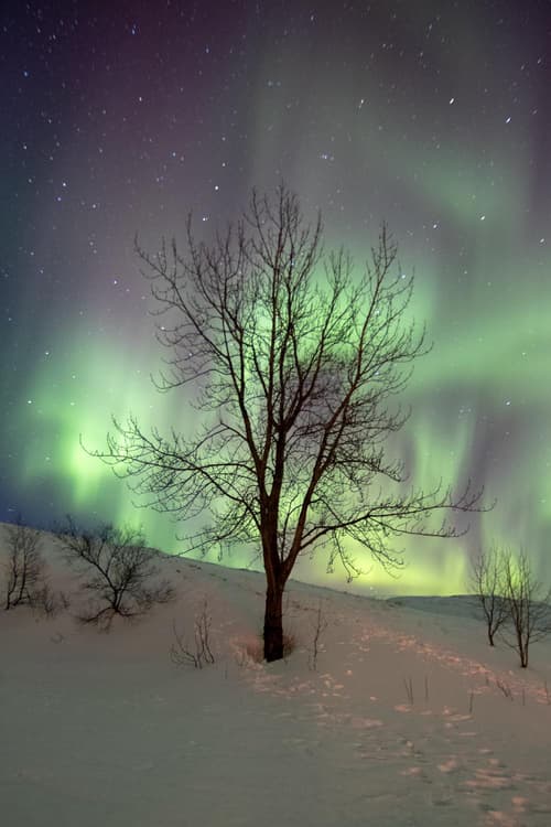 Dalshöfdi Guesthouse, 