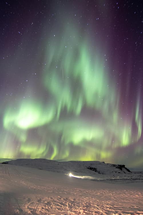 Dalshöfdi Guesthouse, 