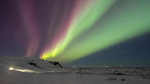 Dalshöfdi Guesthouse, 