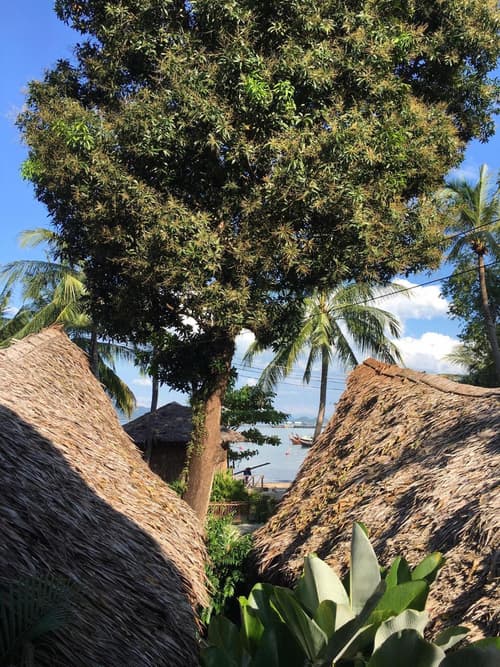 The Tropical Koh Mook, 