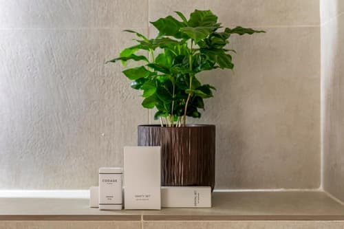 Le Monsieur By Sweett, 