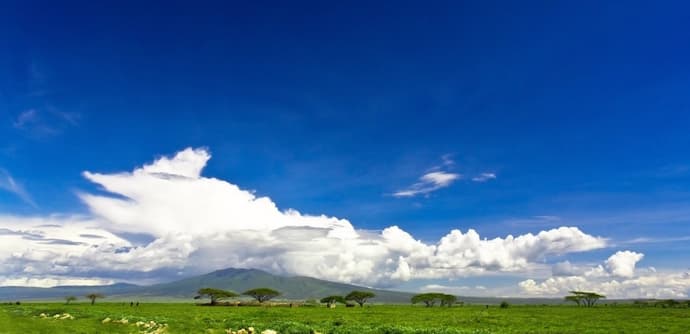 Safari en Kifaru - Serena Lodges 