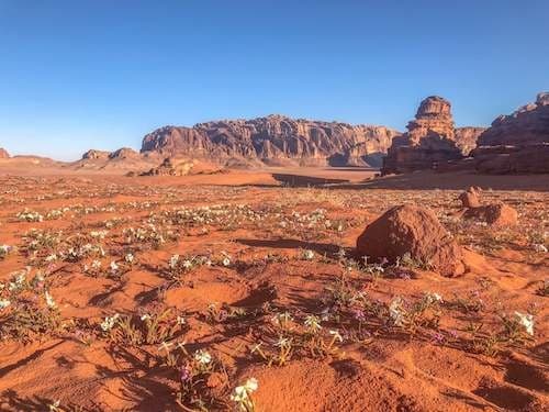 Descubre Jordania (Llegada a Amman) - 4 Stars Hotels (Departure Saturday or Tuesday)