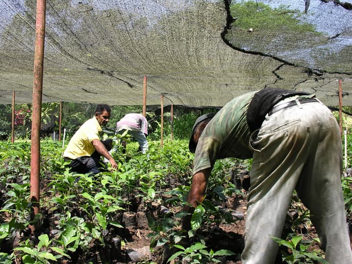 Lo mejor de Republica Dominicana