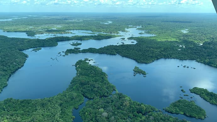 Amazonia y Sus Encantos (Manaus - Amazonia)