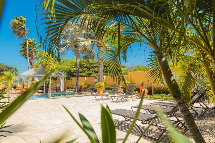 MVC Eagle Beach - Airone Selection, Primary image