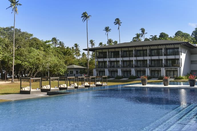 Seda Lio, Primary image