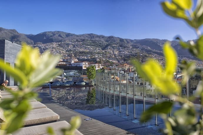 The Vine, Primary image