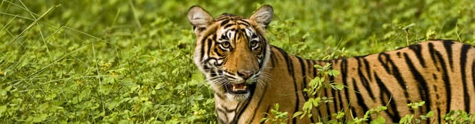 Northern India Family Holiday Comfort