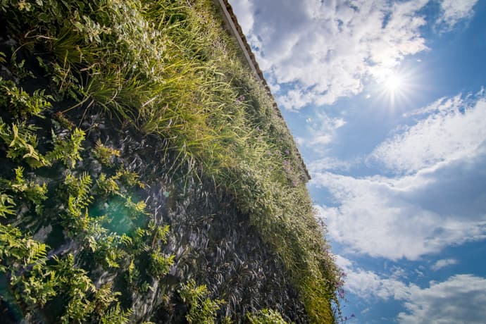 Cap Negret, General view