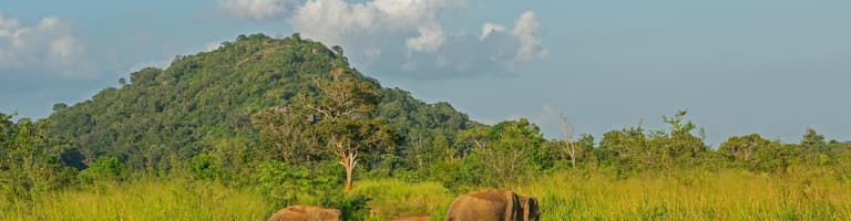 Χαμπαράνα, Σρι Λάνκα