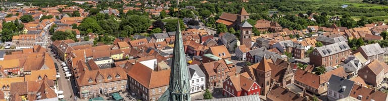 Ribe
