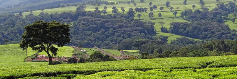 ケニア| タンザニア