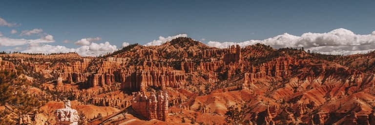 الساحل الغربي (الولايات المتحدة الأمريكية)