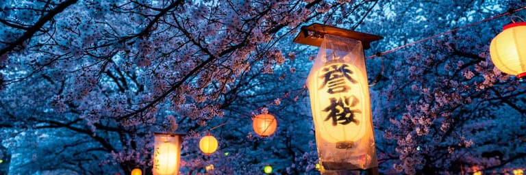 Immagine - Scopri la magia dei sakura in fiore