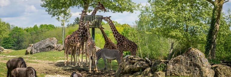 Parques Naturales, Zoológicos y Acuarios