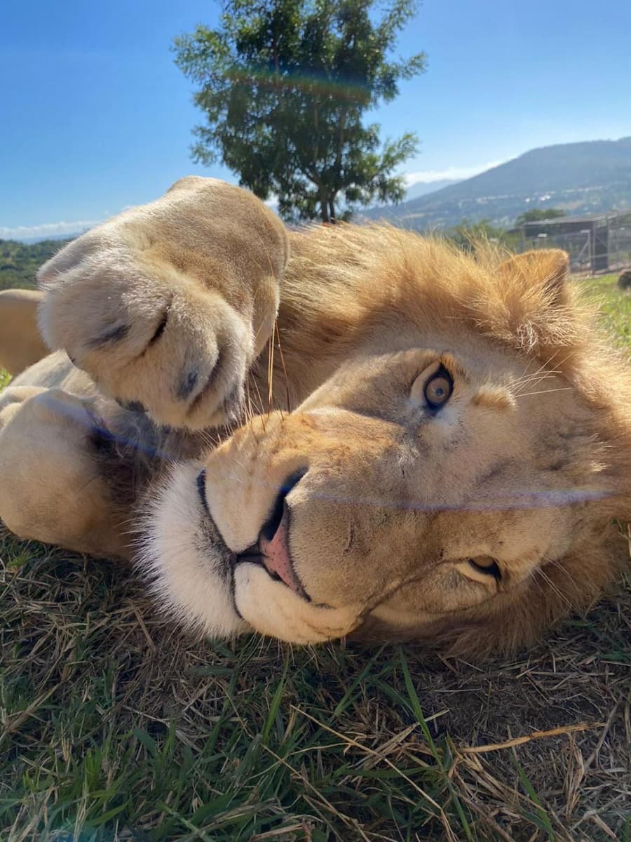 Pumbaa Wildlife Park & Accommodation